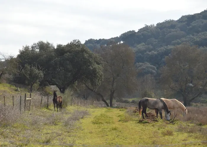 Herdade Ribeira De Borba