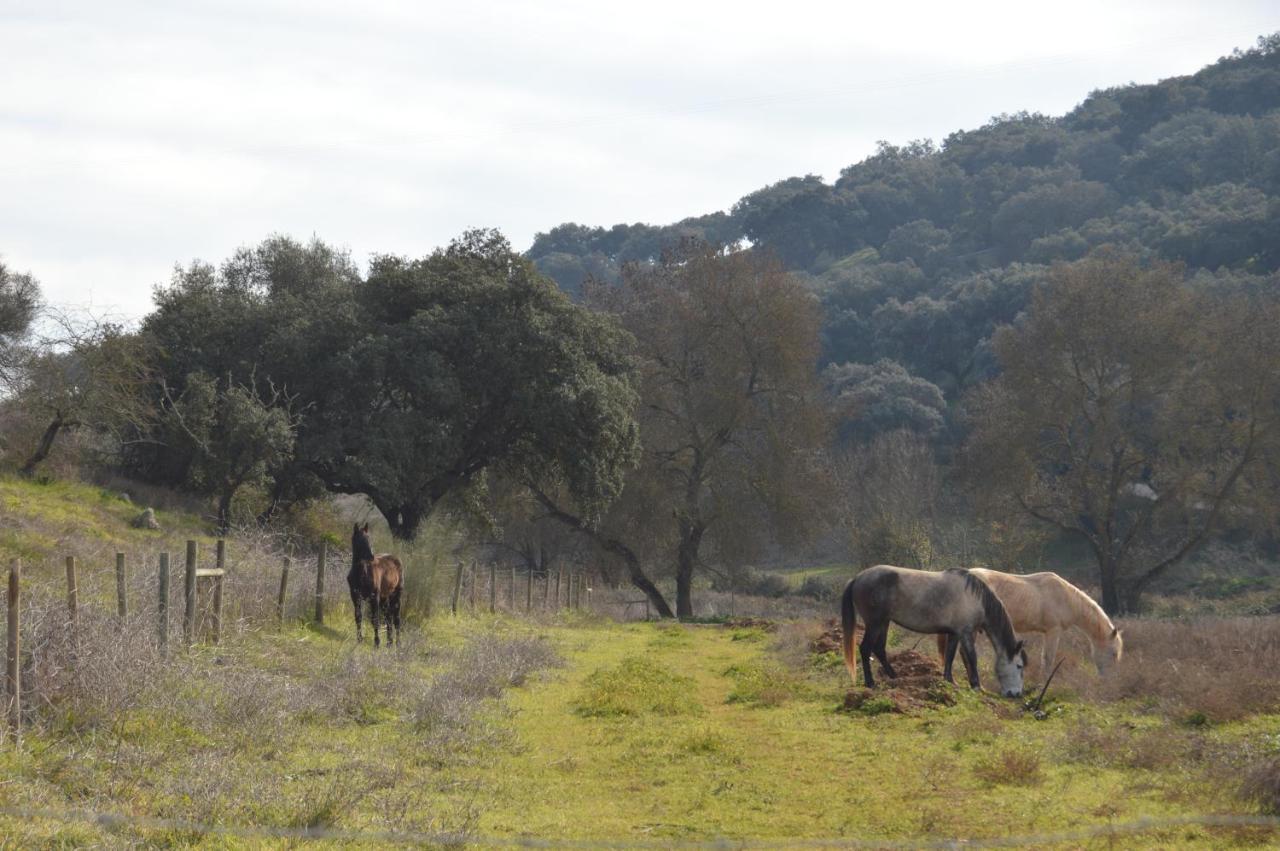 Herdade Ribeira De Borba Vakantieboerderij Vila Viçosa